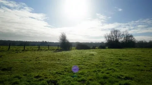 jmcomic1.7.6官网下载自然风光视频素材分类